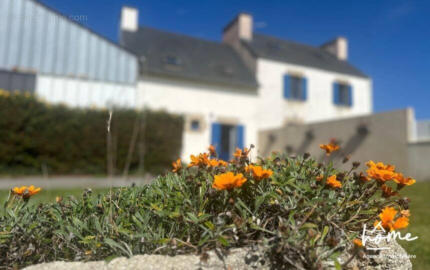 Maison à BRIGNOGAN-PLAGE