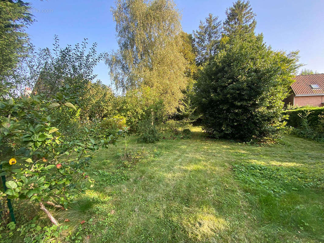 Terrain à LAPUGNOY