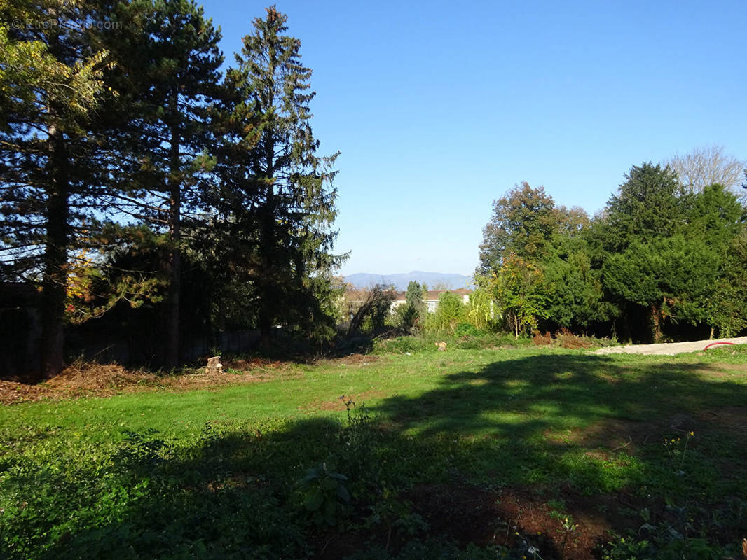 Terrain à MULHOUSE