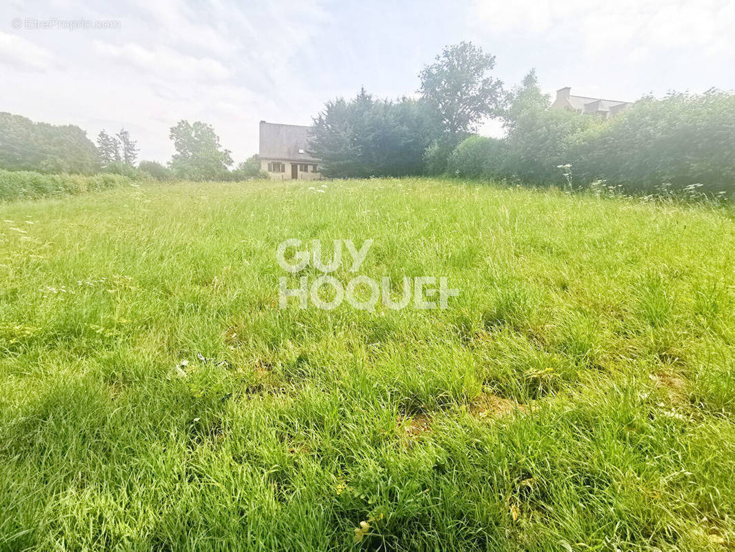 Terrain à CAULNES