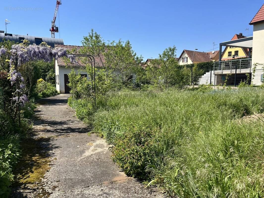 Terrain à OBERSCHAEFFOLSHEIM