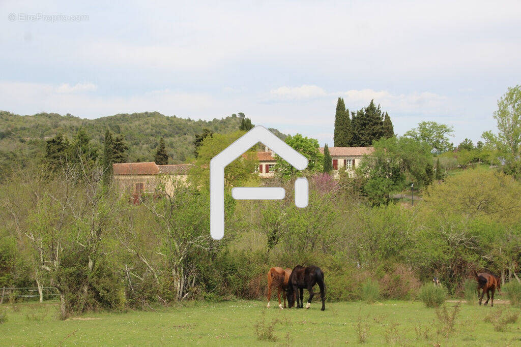 Maison à LIMOUX