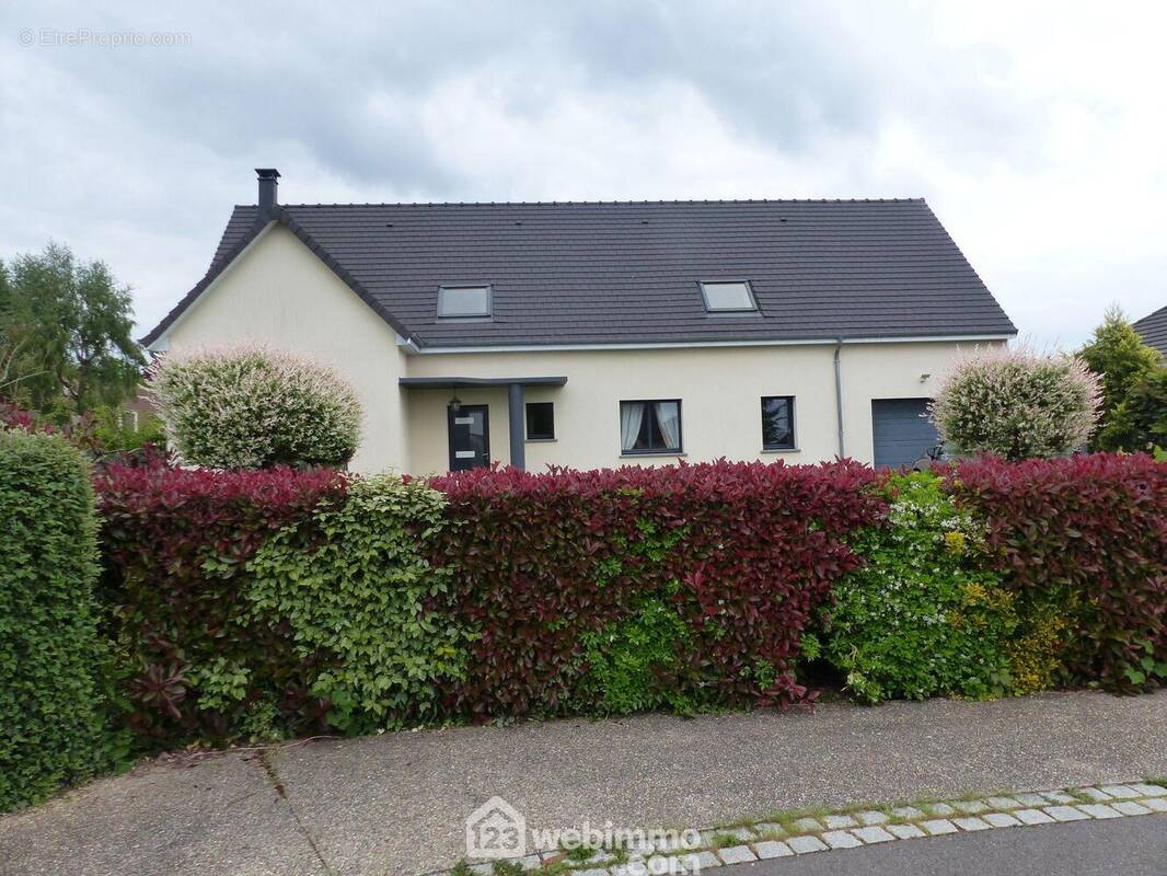 Dans la commune prisée d&#039;Isneauville, maison récente plain pied de 95 m2 avec extension préparée à l&#039;étage de 60 m2. - Maison à ISNEAUVILLE