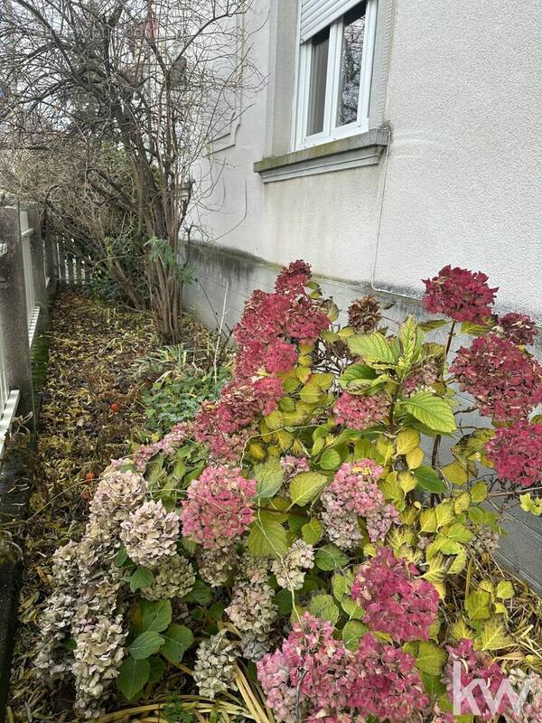 Appartement à SCHILTIGHEIM