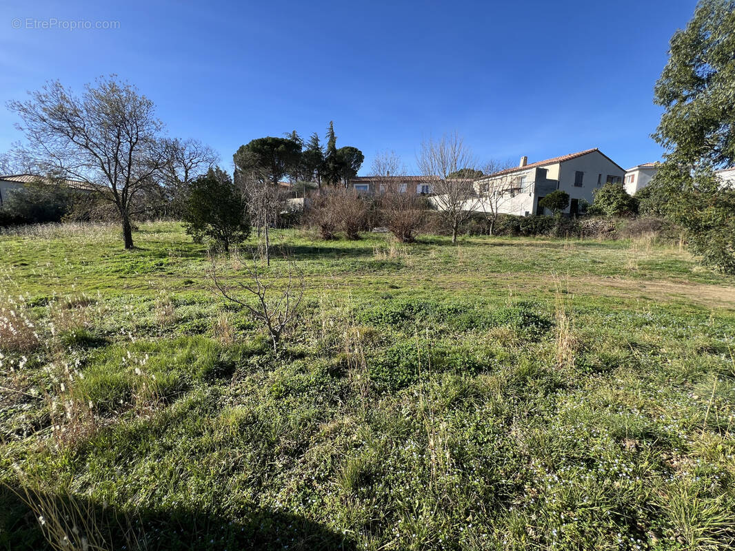 Terrain à SAINT-JEAN-DE-LA-BLAQUIERE