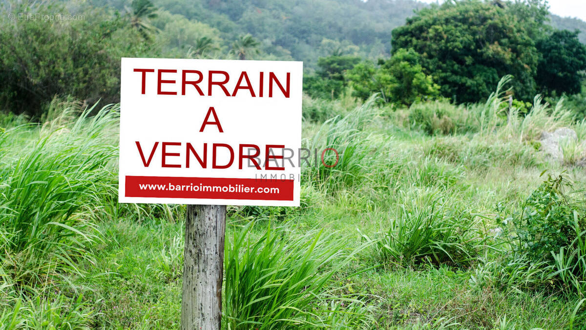 Terrain à LAROQUE-DES-ALBERES