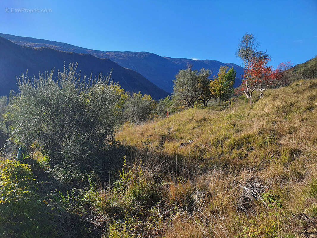 Terrain à PIERREFEU