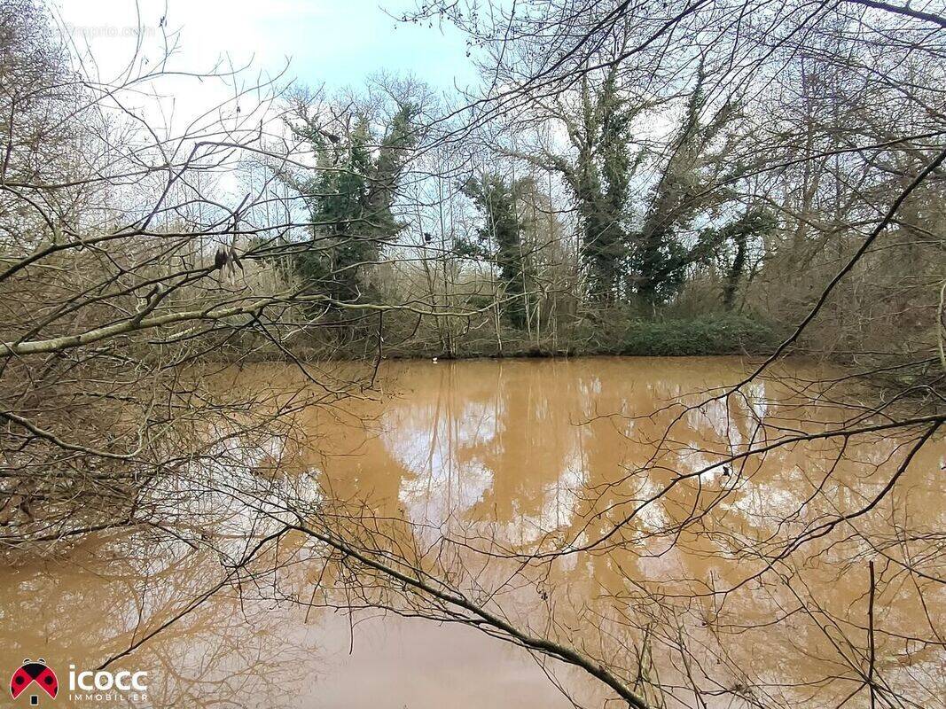 Terrain à MAREUIL-SUR-LAY-DISSAIS