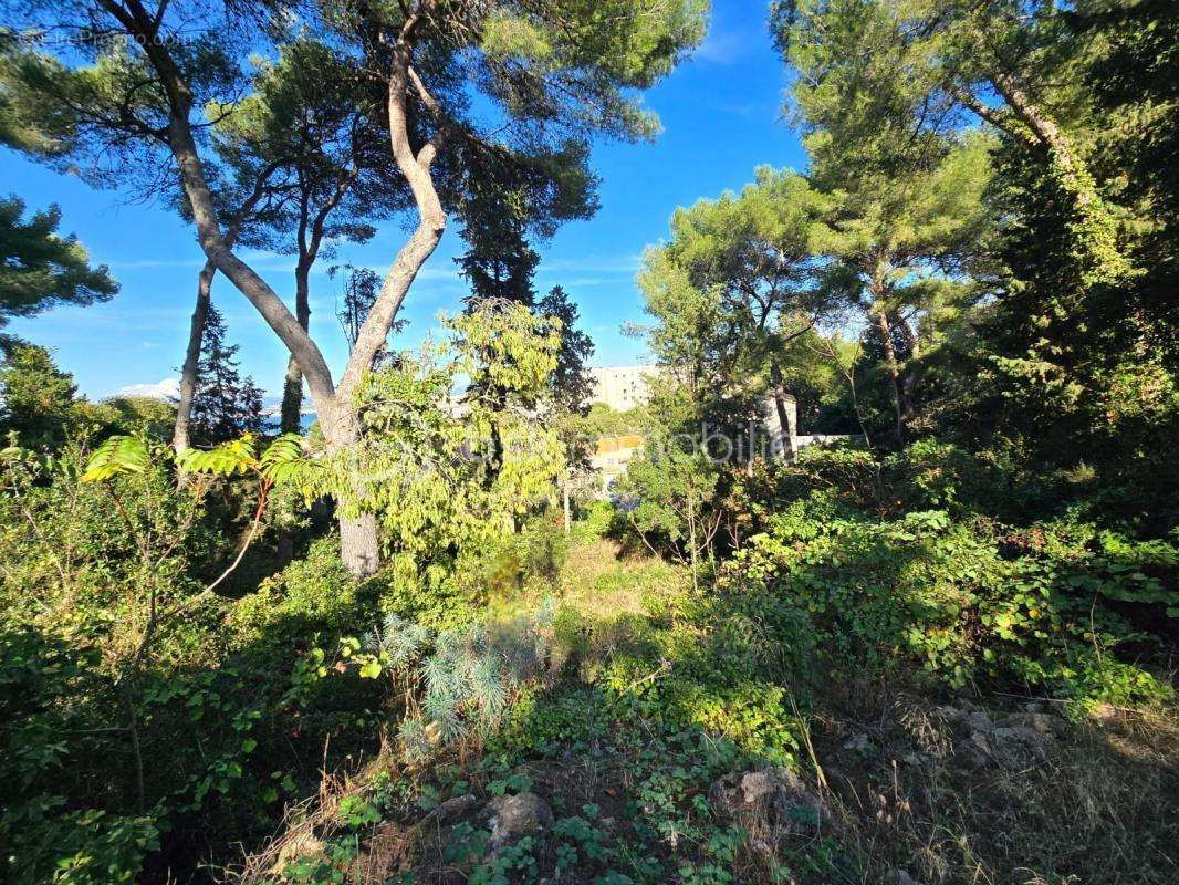 Terrain à SETE