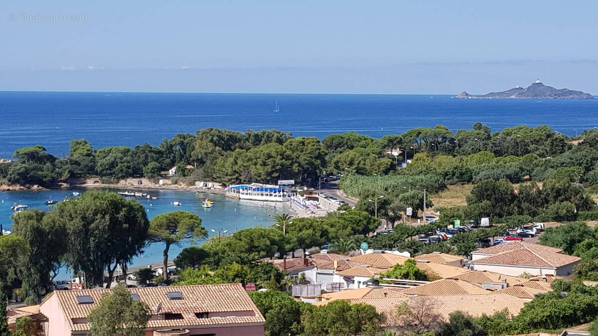 Commerce à AJACCIO