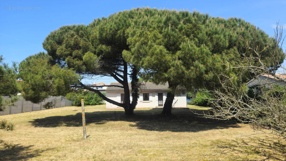 Maison à NOTRE-DAME-DE-MONTS