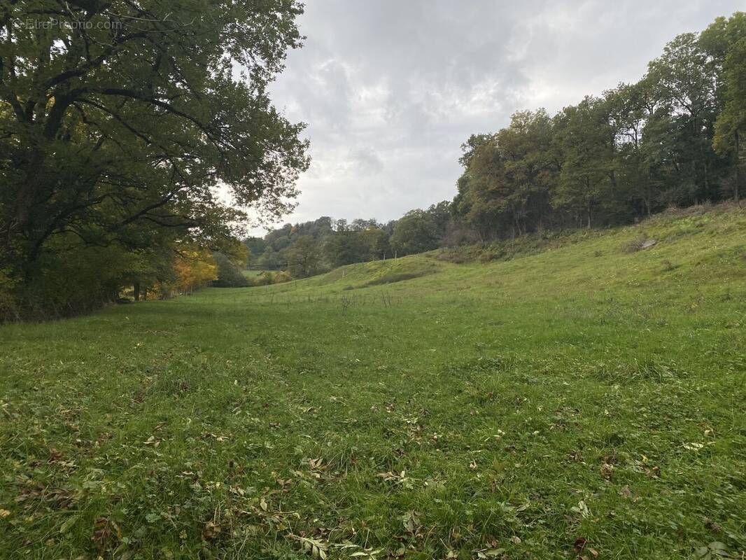 Terrain à AURILLAC