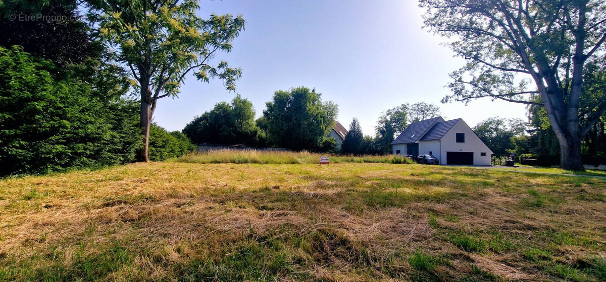 Terrain à ROSENAU