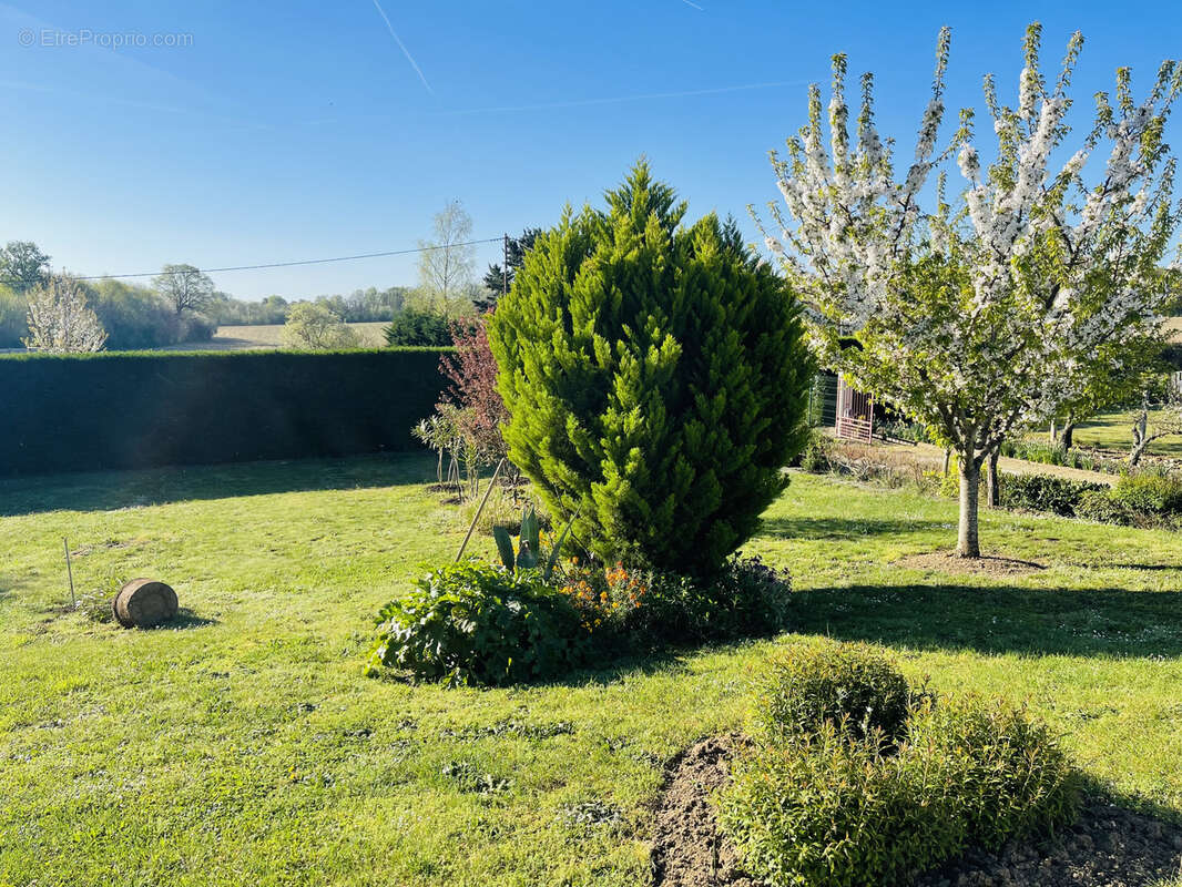 Maison à FLEURE