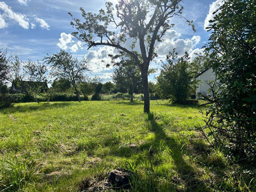 Terrain à COULANGES-LES-NEVERS