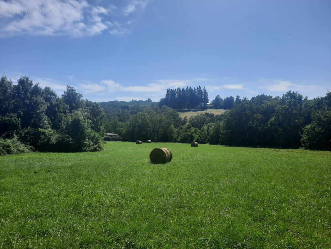 Terrain à NOAILHAC