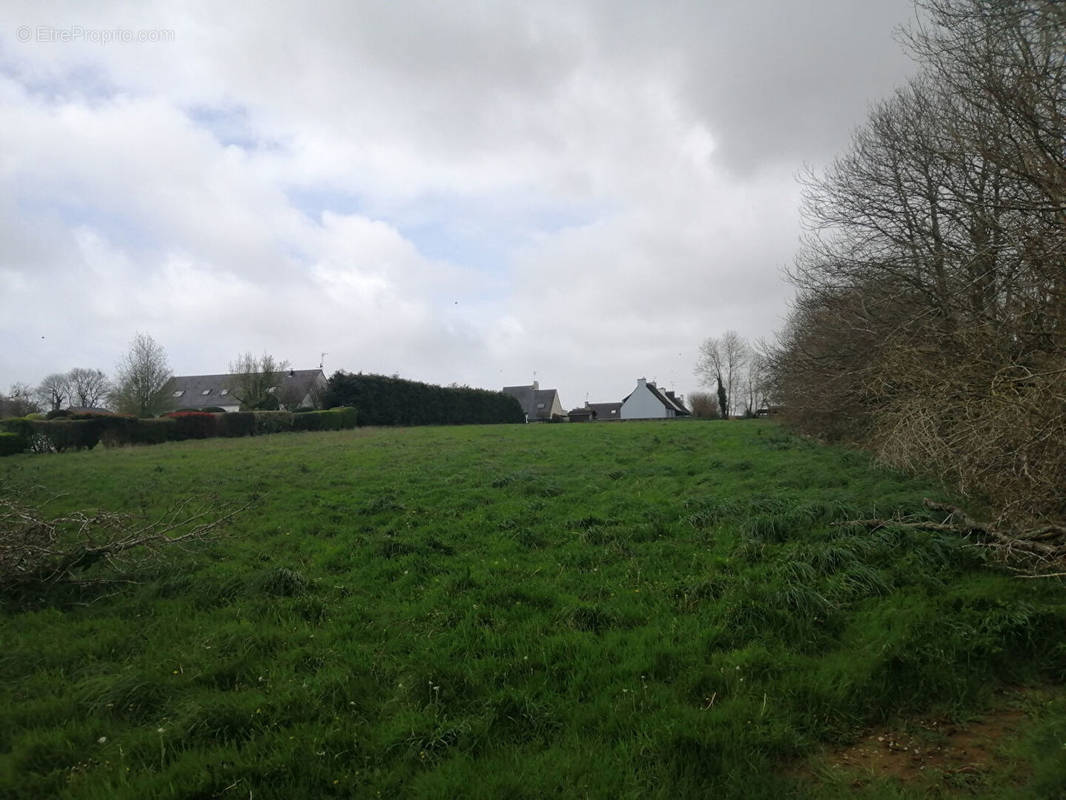 Terrain à EDERN