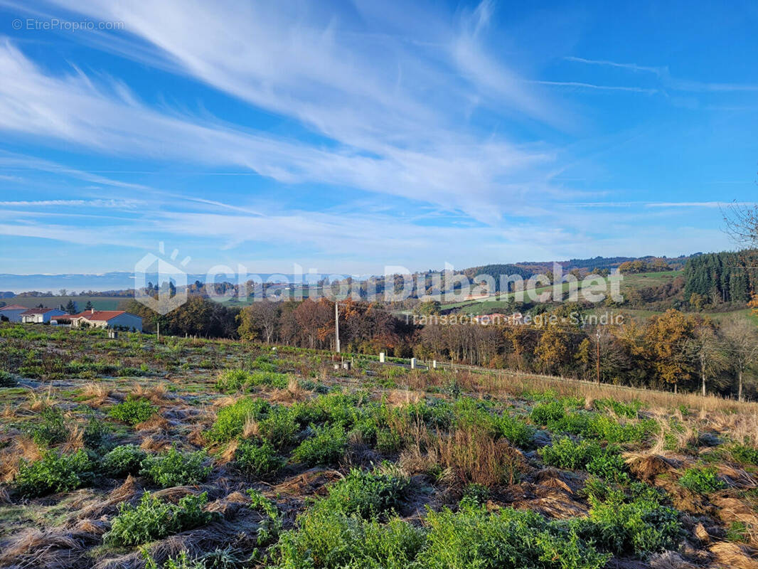 Terrain à FEURS