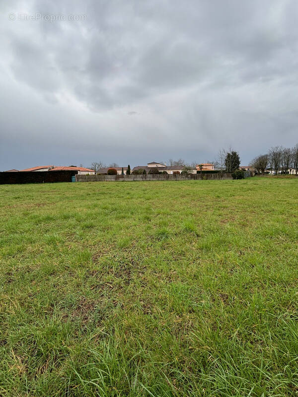 Terrain à BOE