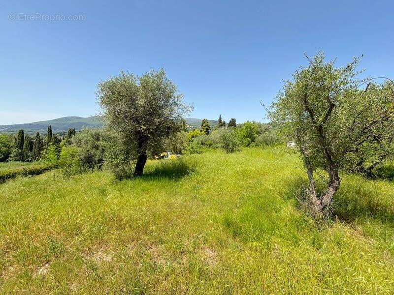 Terrain à OPIO