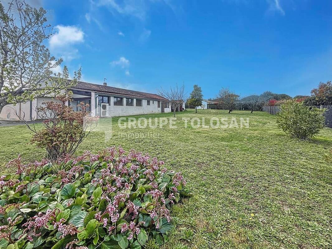 Maison à QUINT-FONSEGRIVES