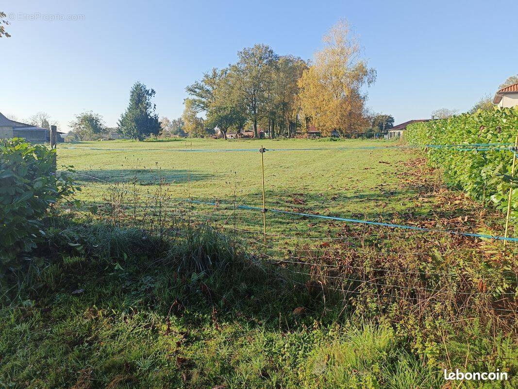 Terrain à JAUNAY-CLAN