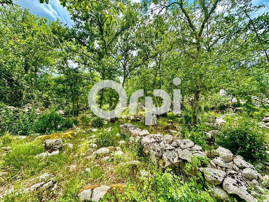 Terrain à LABEAUME