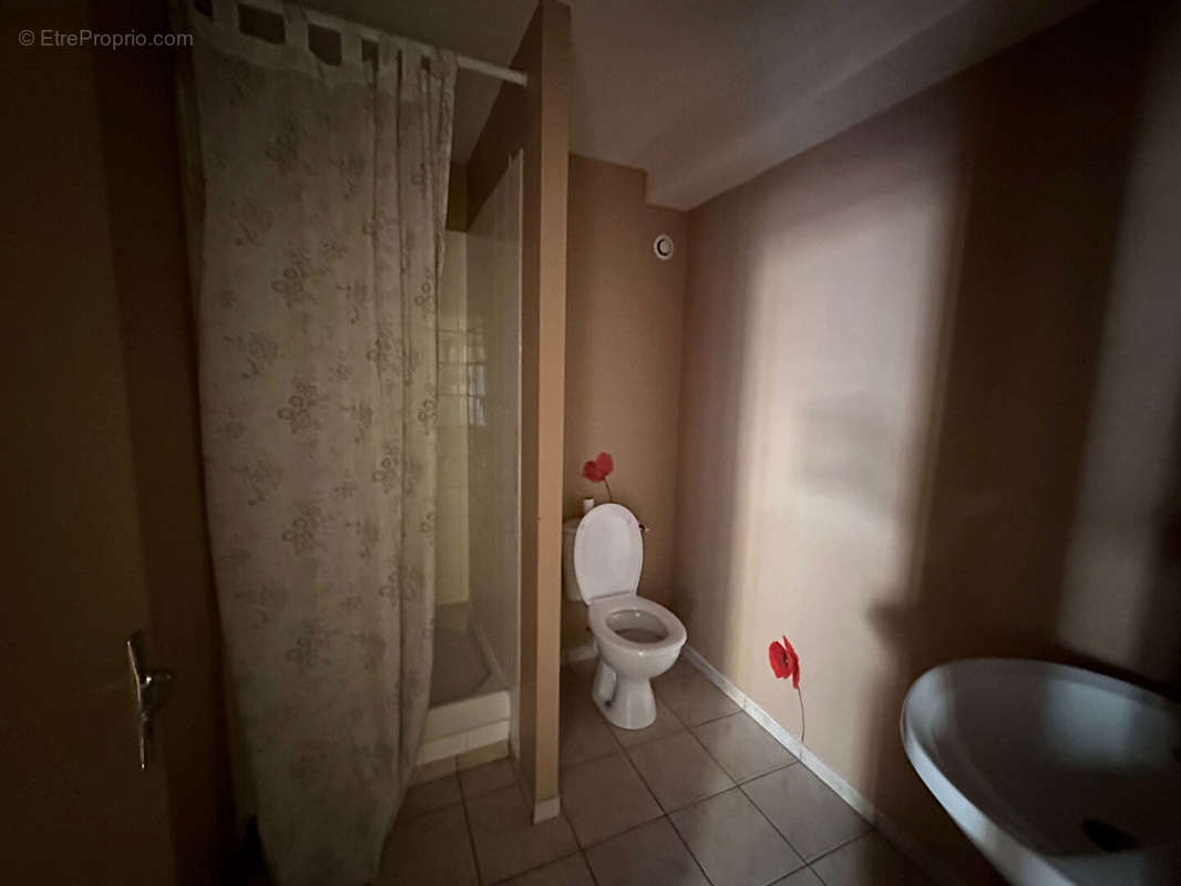 Appartement à VIERZON