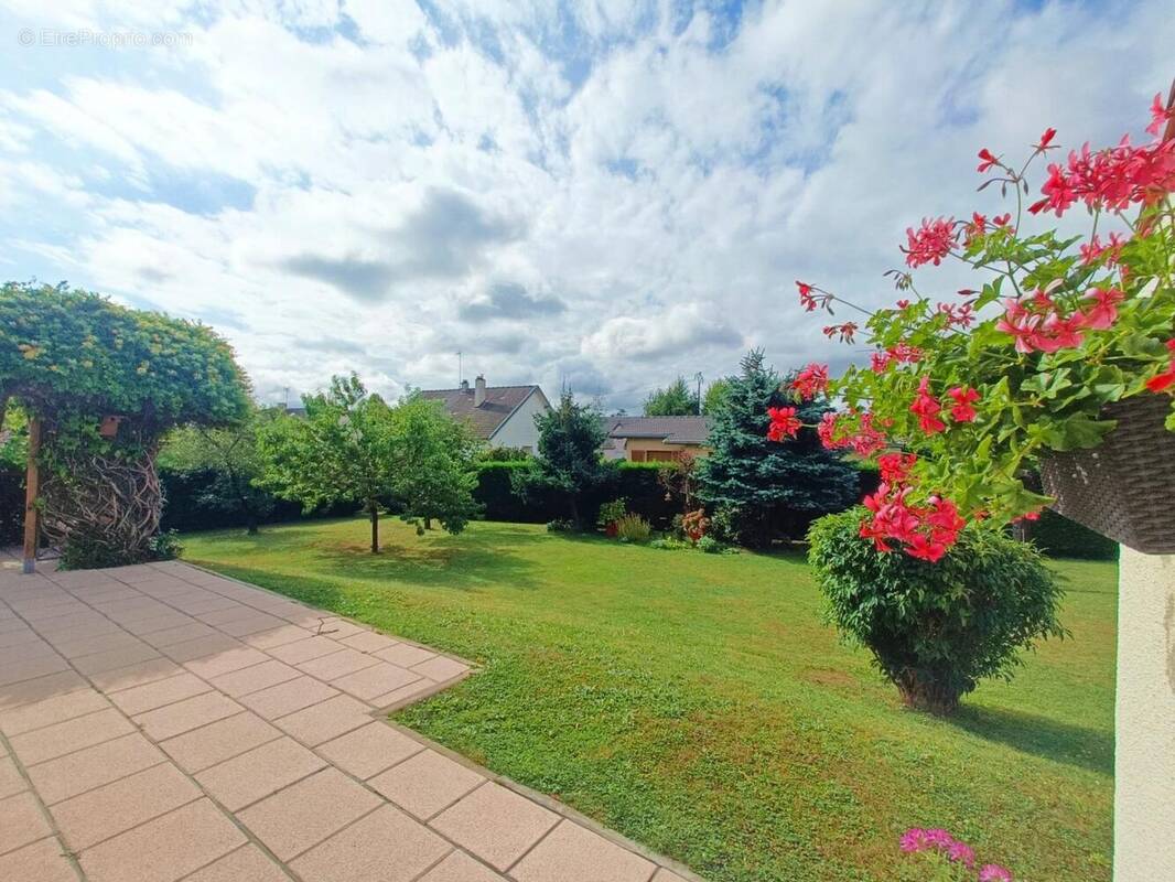 Photo 1 - Maison à JONCHERY-SUR-VESLE