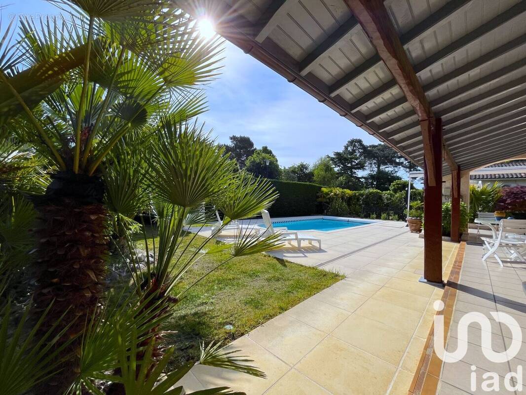 Photo 1 - Maison à LA TESTE-DE-BUCH