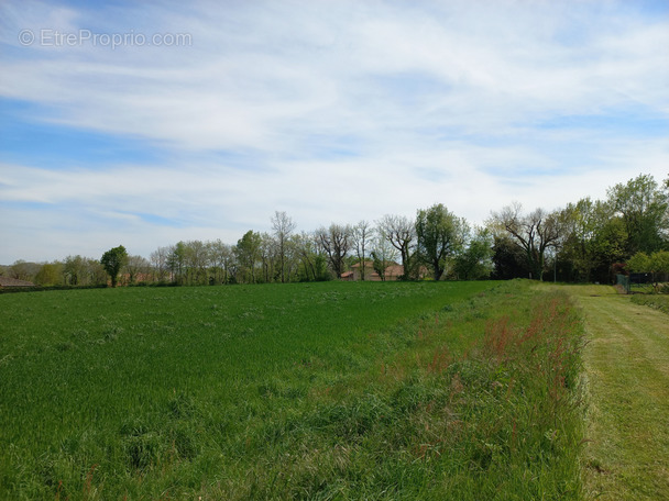 Terrain à MIRANDE