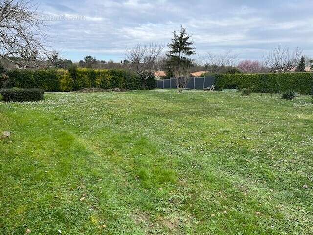 Terrain à COGNAC