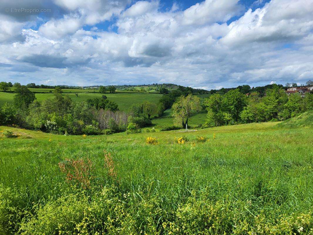 Terrain à BALBIGNY