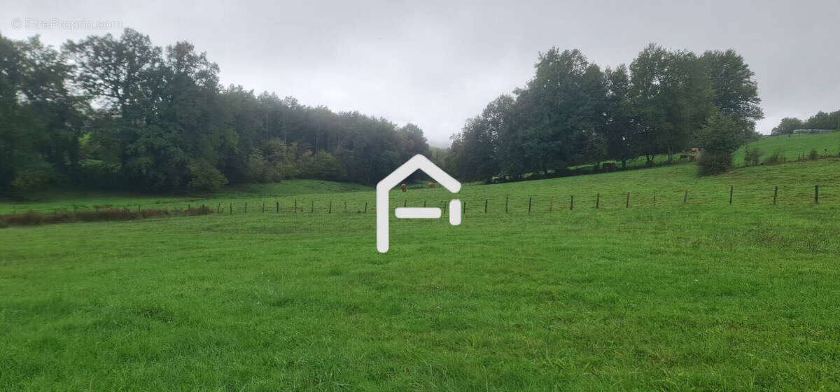 Terrain à ALLASSAC