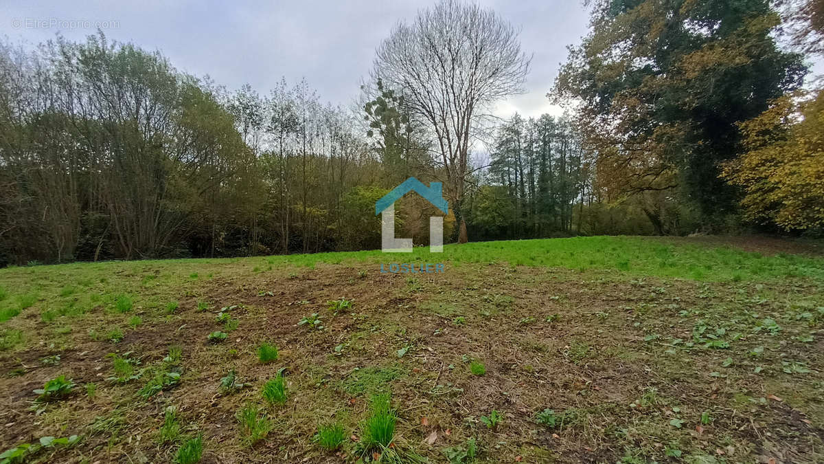 Terrain à SAUSSEY