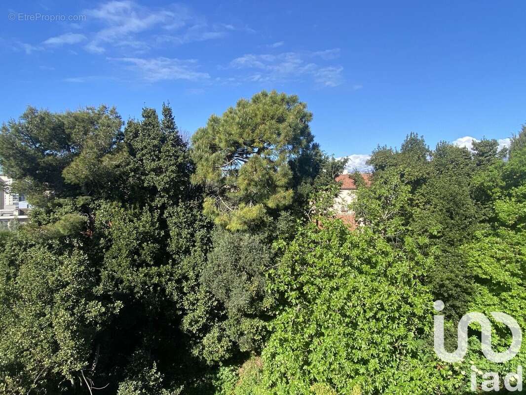 Photo 3 - Appartement à NICE