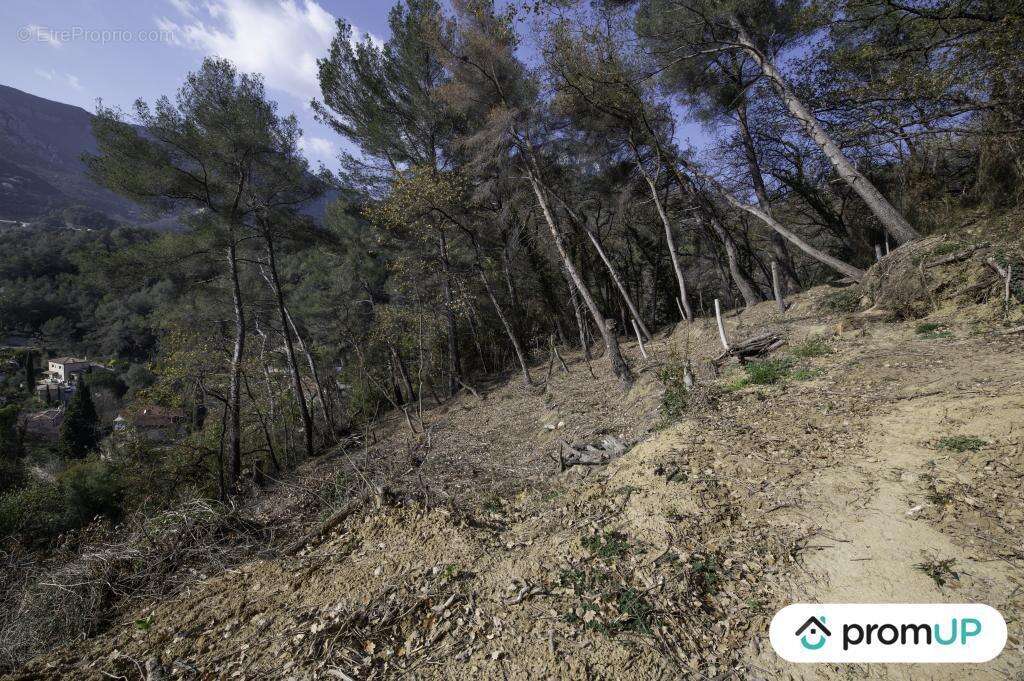 Terrain à GORBIO