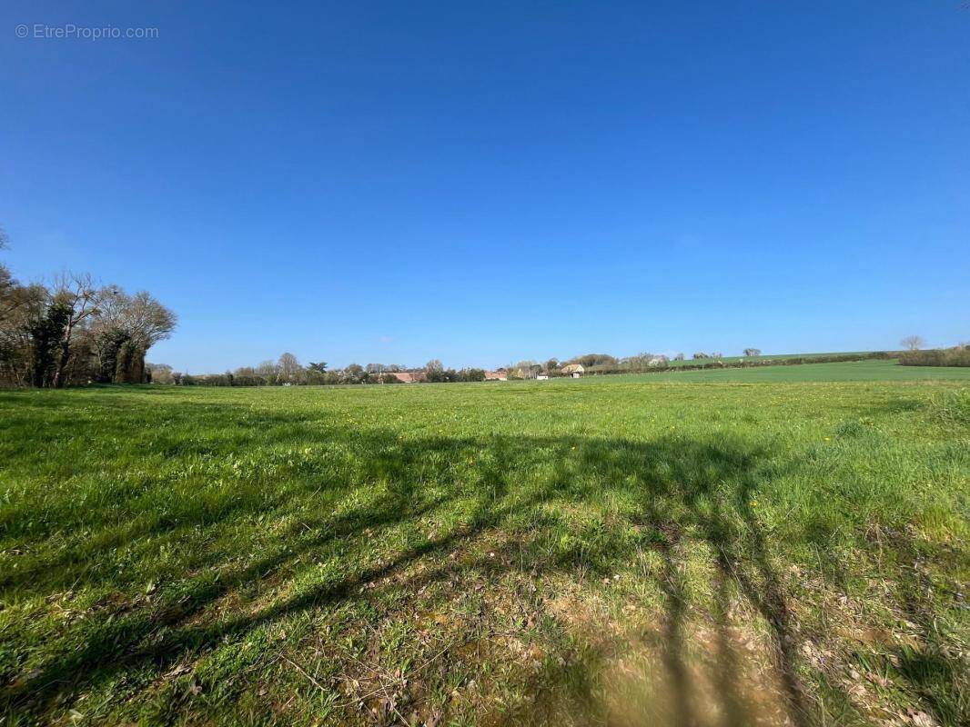 Terrain à CHEMIRE-LE-GAUDIN