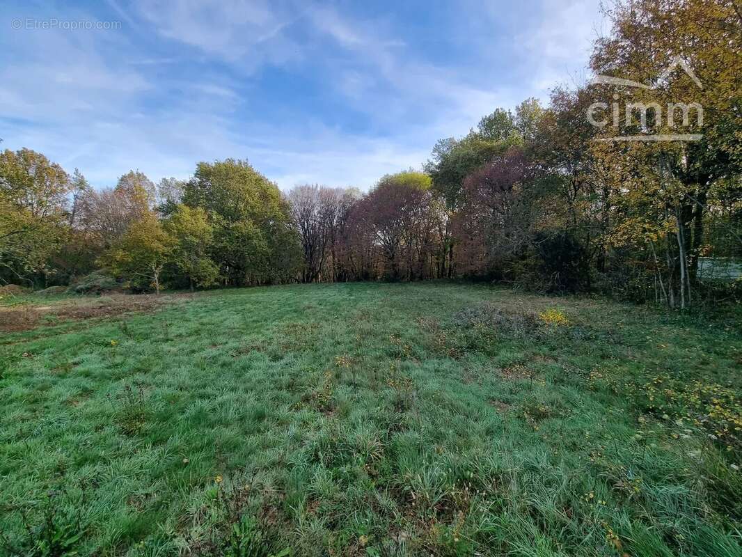 Terrain à DOMME