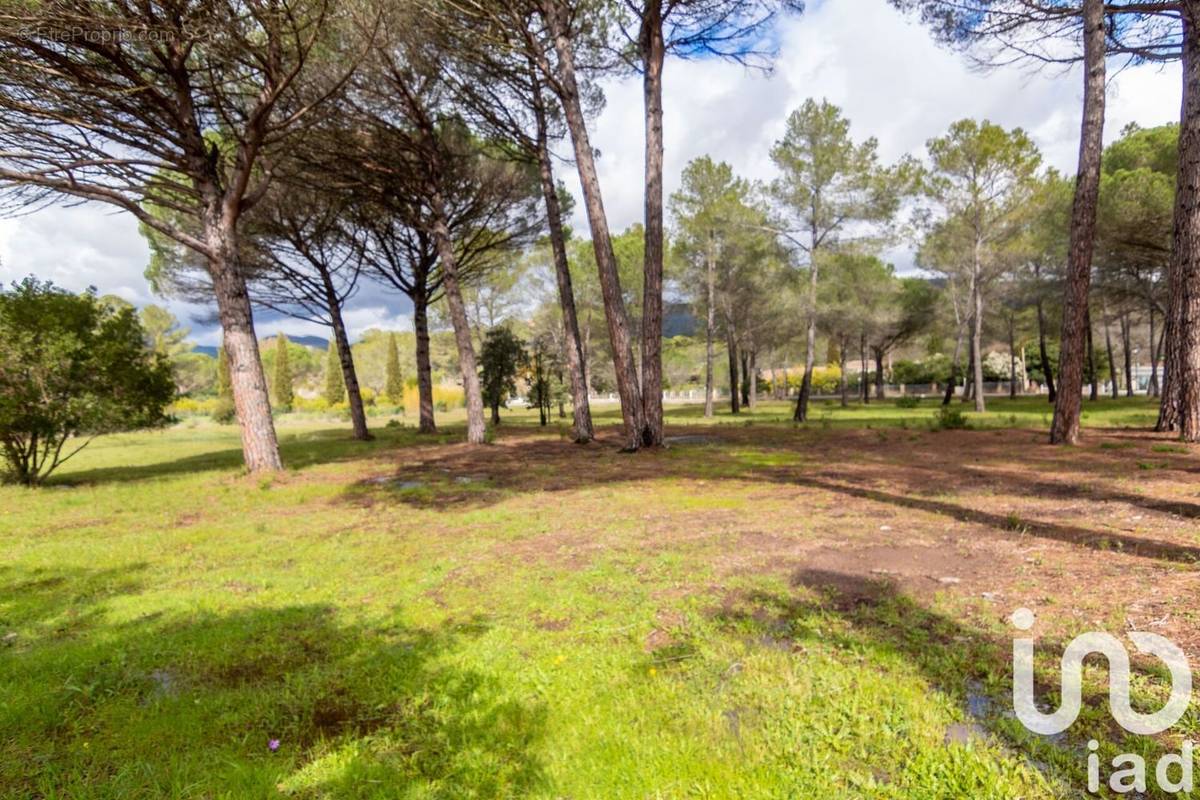 Photo 1 - Terrain à PUGET-SUR-ARGENS