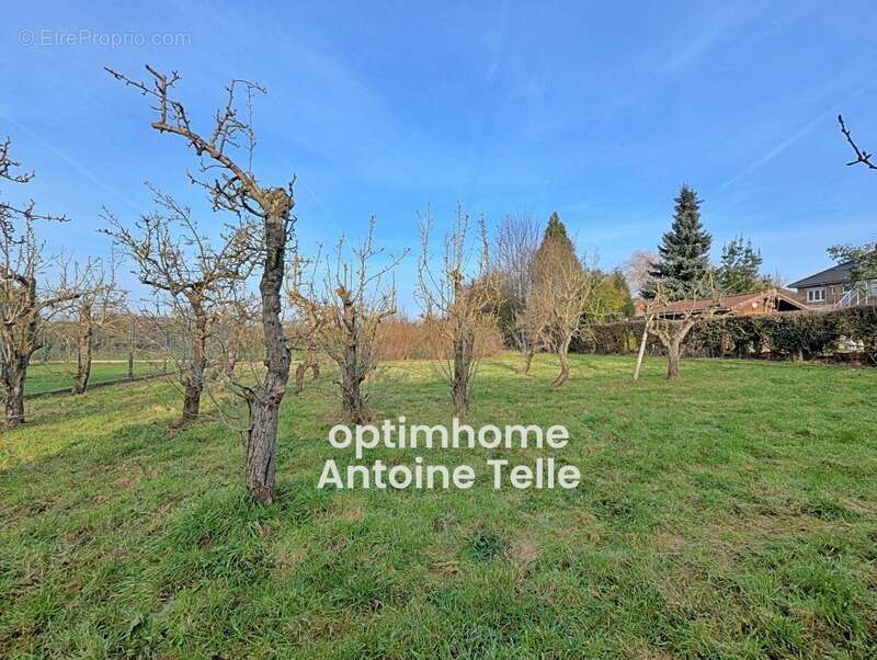 Terrain à LE QUESNOY