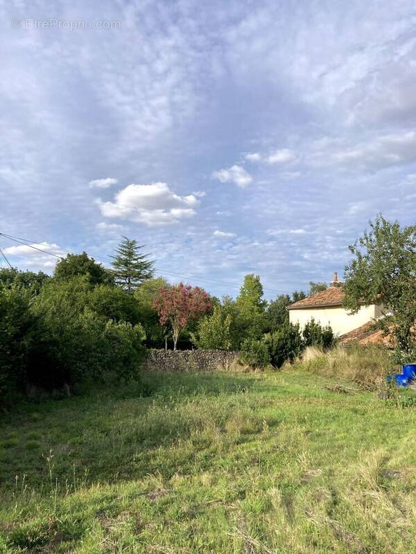 Terrain à BERUGES
