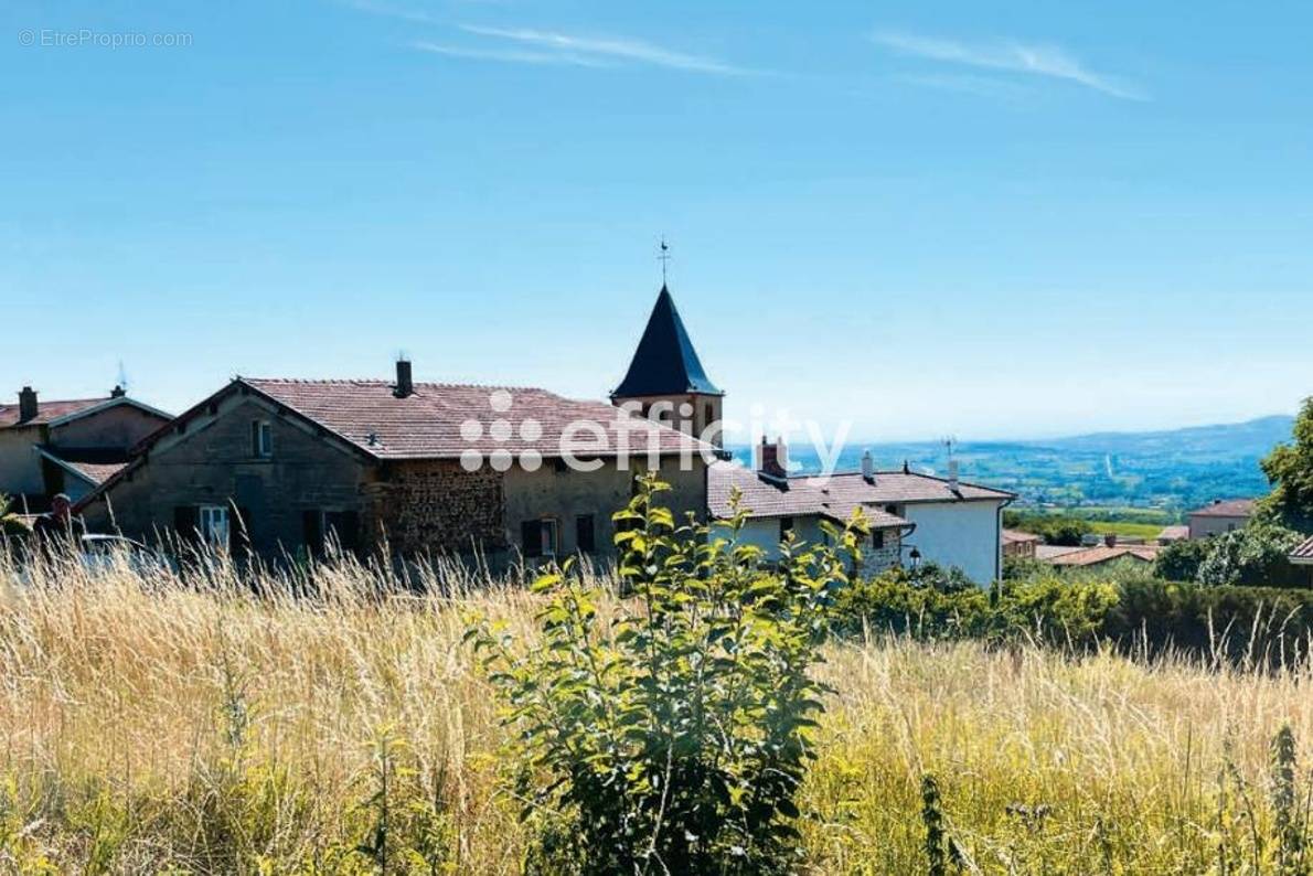 Terrain à SAINT-FORGEUX