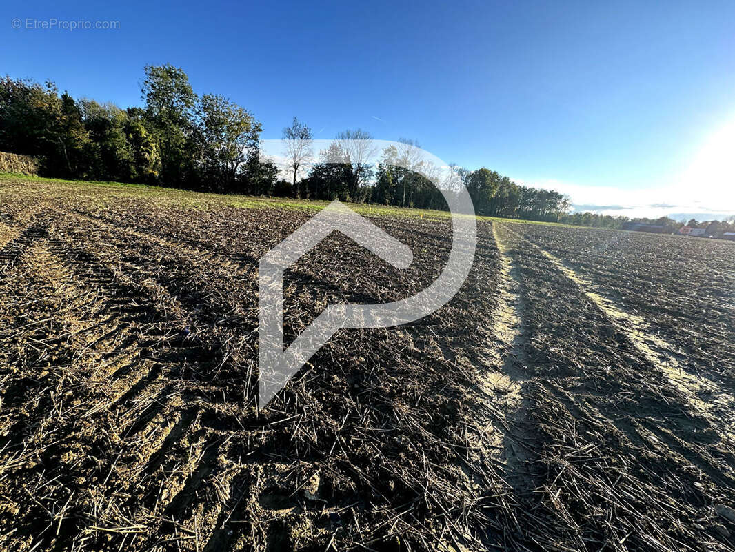 Terrain à LIEUREY