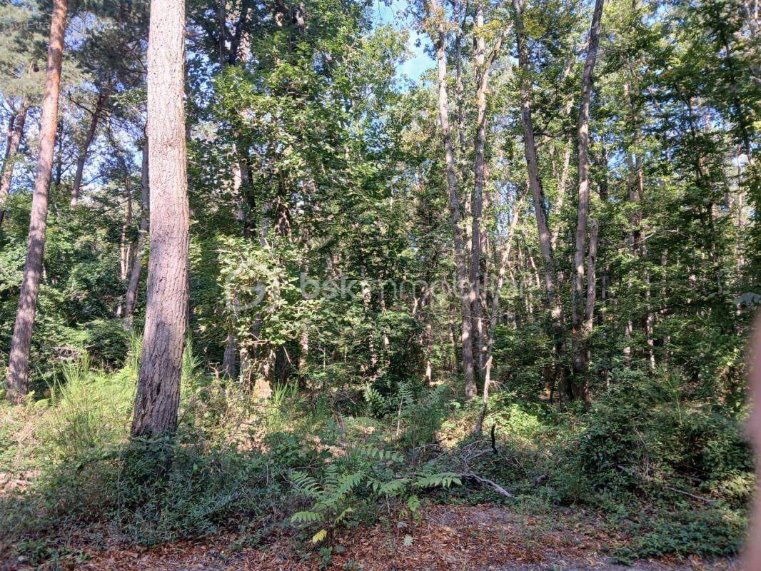 Terrain à MONTIGNY-SUR-LOING