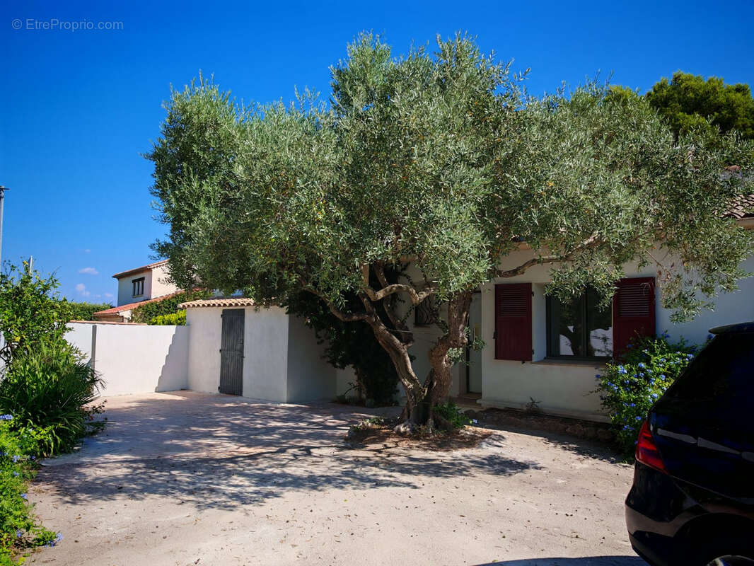 Maison à ROQUEBRUNE-SUR-ARGENS