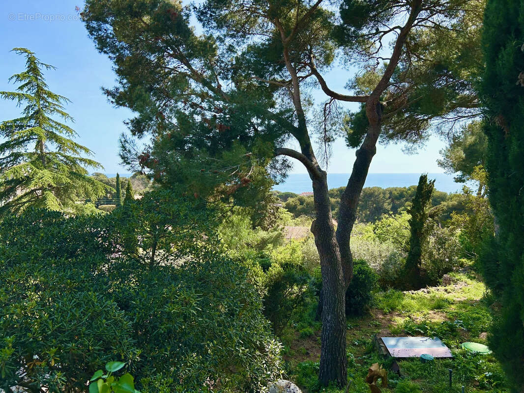 Maison à SETE