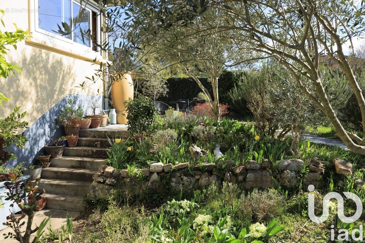 Photo 1 - Maison à TASSIN-LA-DEMI-LUNE