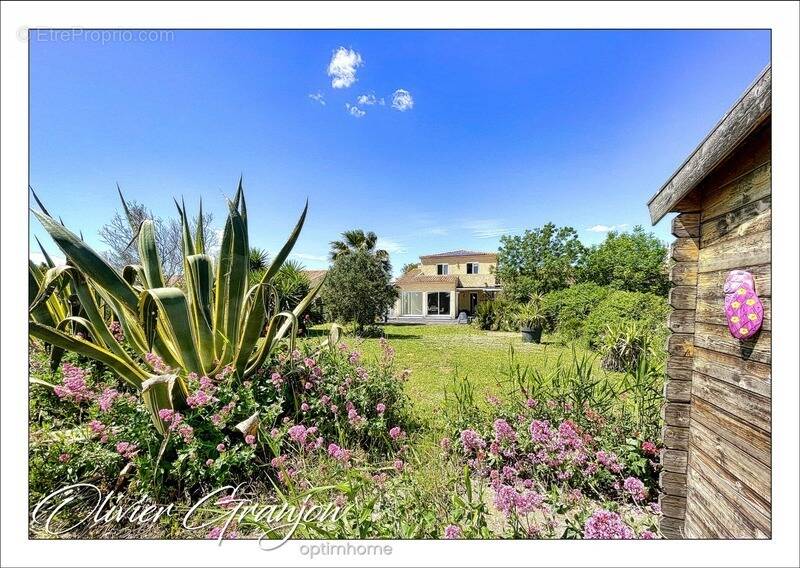 Maison à MARSEILLAN