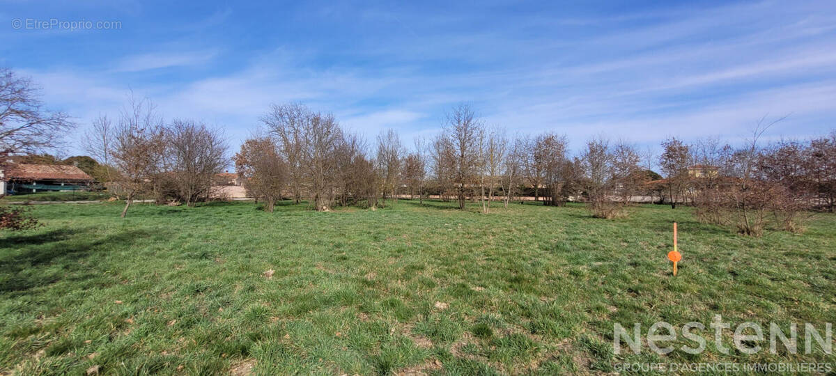 Terrain à MONTAUBAN